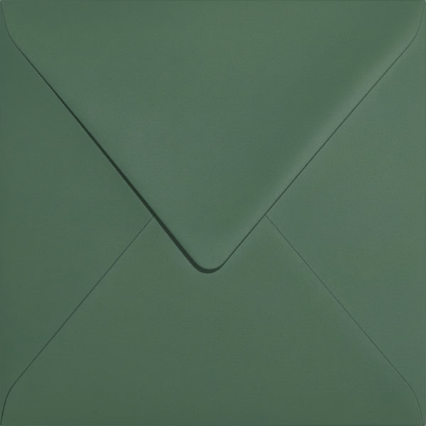 Enveloppe vert sauge 120g